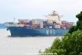 MSC Genesis 130616-01.jpg
