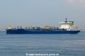 Seadevil OS-190626-09.jpg