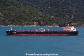 Shenlong Spirit RV-010321-03.jpg