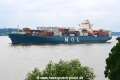 MSC Genesis 130616-05.jpg