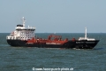 Selandia Swan OS-150811-05.jpg