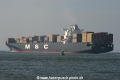 MSC Ines (MS-060407-17).jpg