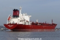 Sichem Hawk (OK-140215-5).jpg