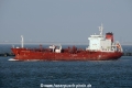 Sichem Orchid OS-060413-05.jpg