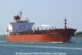 Sichem Osprey (US-020611-0).jpg