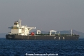 Silia T (250706-6-MS).jpg