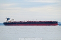 SFL Tiger OS-121022-09.jpg