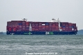 Zim Alexandrite OS-121125-22.jpg