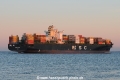 MSC Katyayni JG-160216-02.jpg