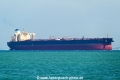 South Loyalty OS-311023-01.jpg