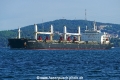 Nasco Pearl (OK-310821-2).jpg