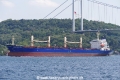 Mustafa Bey (OK-240821-2).jpg