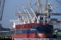 Navios Celestial OS-210813-01.jpg