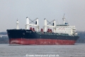 Nasco Jade KH-300311-1.jpg