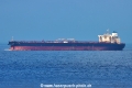 South Loyalty TL-080626-1.jpg