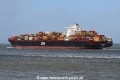 MSC Los Angeles JG-080319-03.jpg
