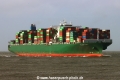 Thalassa Patris TL-050222-3.jpg