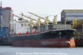 Newseas Pearl (KB-D160513-01).jpg