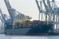 MSC Mira 270213-07.jpg