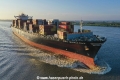 MSC Marianna KH-310821-4.jpg