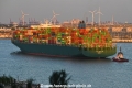 Thalassa Niki 040722-6.jpg