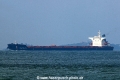 Star Dragon (MS-300725-02).jpg