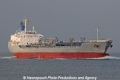 Southern Koala JG-121112-01.jpg