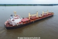 NM Sakura TL-240823-4.jpg