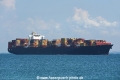 MSC Noa OS-191018-06.jpg