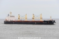 NM Sakura JG-240823-1.jpg