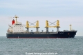 Nippon Maru HK-250618.jpg