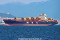 MSC Niovi VIII TL-190525-1.jpg