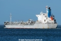 Southern Shark SH-261223-01.jpg