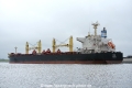 Noni OS-250316-12.jpg