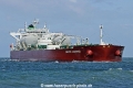 Pacific Diamond TR-080725-2.jpg
