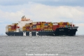 MSC Monica (2005-1-MS-S).jpg