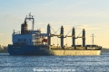 Nord Savannah 070522-10.jpg