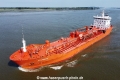 Stenberg TL-270824-4.jpg