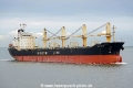 Tao Star HK-200526-1.jpg