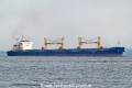 Tian Mu Shan OS-241022-02.jpg