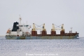Nordic Falcon (KK-190321-2).jpg