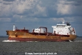 Stolt Focus (MM-130716-1).jpg