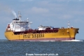 Stolt Maple SH-040623-01.jpg