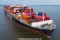 YM Wholesome NT-311021-01.jpg