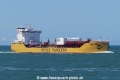 Stolt Loyalty (MB-020719-4).jpg