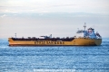 Stolt Palm OS-170820-11.jpg