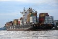 MSC Sandra 011012-08.jpg