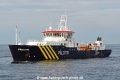 Procyon HK-160817.jpg