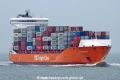 BG Orange TL-020226-1.jpg