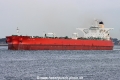 Miracle Hope TL-031022-2.jpg